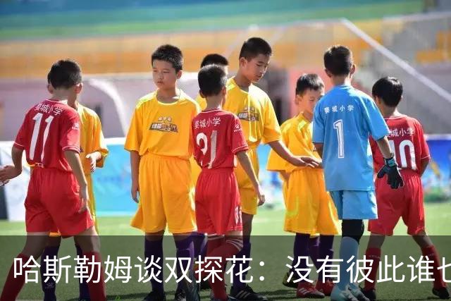 哈斯勒姆谈双探花：没有彼此谁也达不到现在的高度