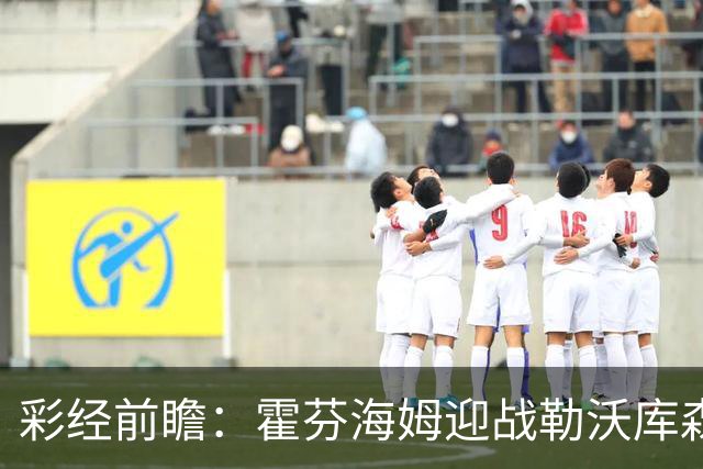 彩经前瞻：霍芬海姆迎战勒沃库森，客队攻势占优，看好药厂胜