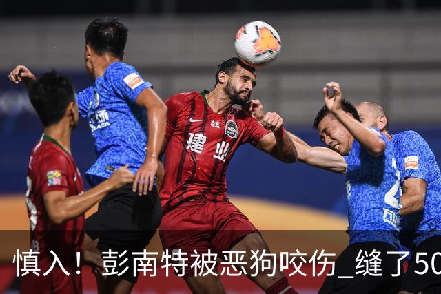 慎入！彭南特被恶狗咬伤 缝了50多针，所幸他的宠物犬英勇护主
