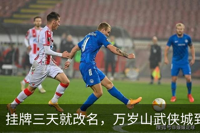 挂牌三天就改名，万岁山武侠城到底要什么？