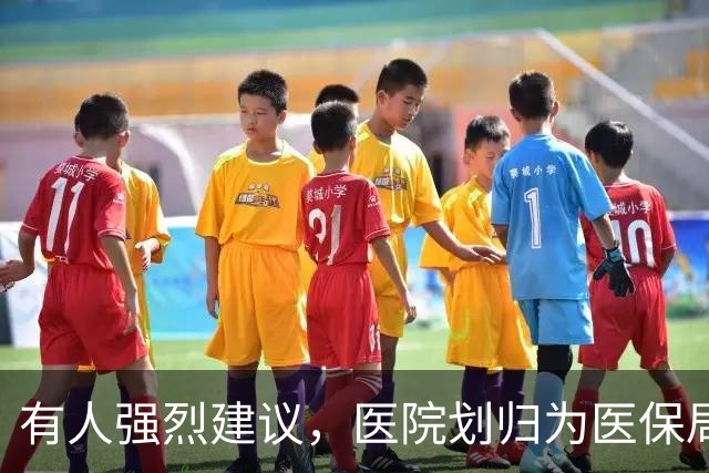 有人强烈建议，医院划归为医保局统一管理！