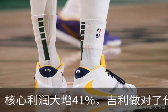 核心利润大增41%，吉利做对了什么