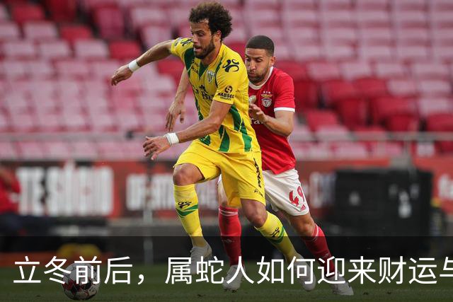 立冬前后，属蛇人如何迎来财运与人脉的双重惊喜？
