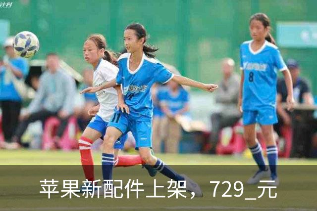 苹果新配件上架，729 元
