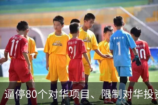 逼停80个对华项目、限制对华投资、关停孔子学院，美国已丧失自信