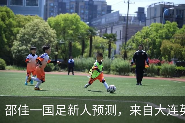 邵佳一国足新人预测，来自大连英博的他有望入选，值得期待