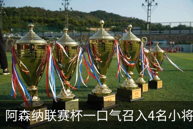 阿森纳联赛杯一口气召入4名小将，多人等首秀