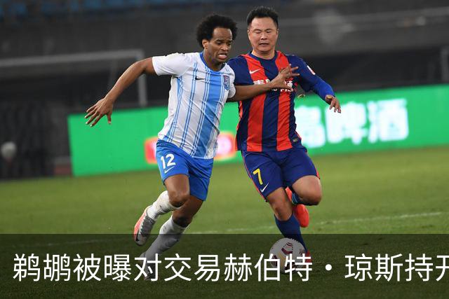鹈鹕被曝对交易赫伯特·琼斯持开放态度，Stein辟谣：没这意愿