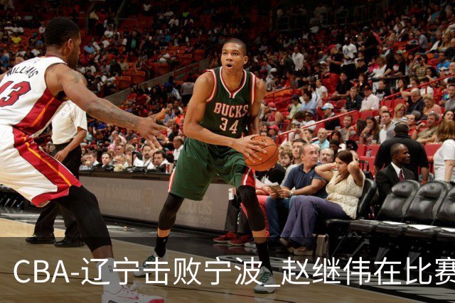 CBA-辽宁击败宁波 赵继伟在比赛中